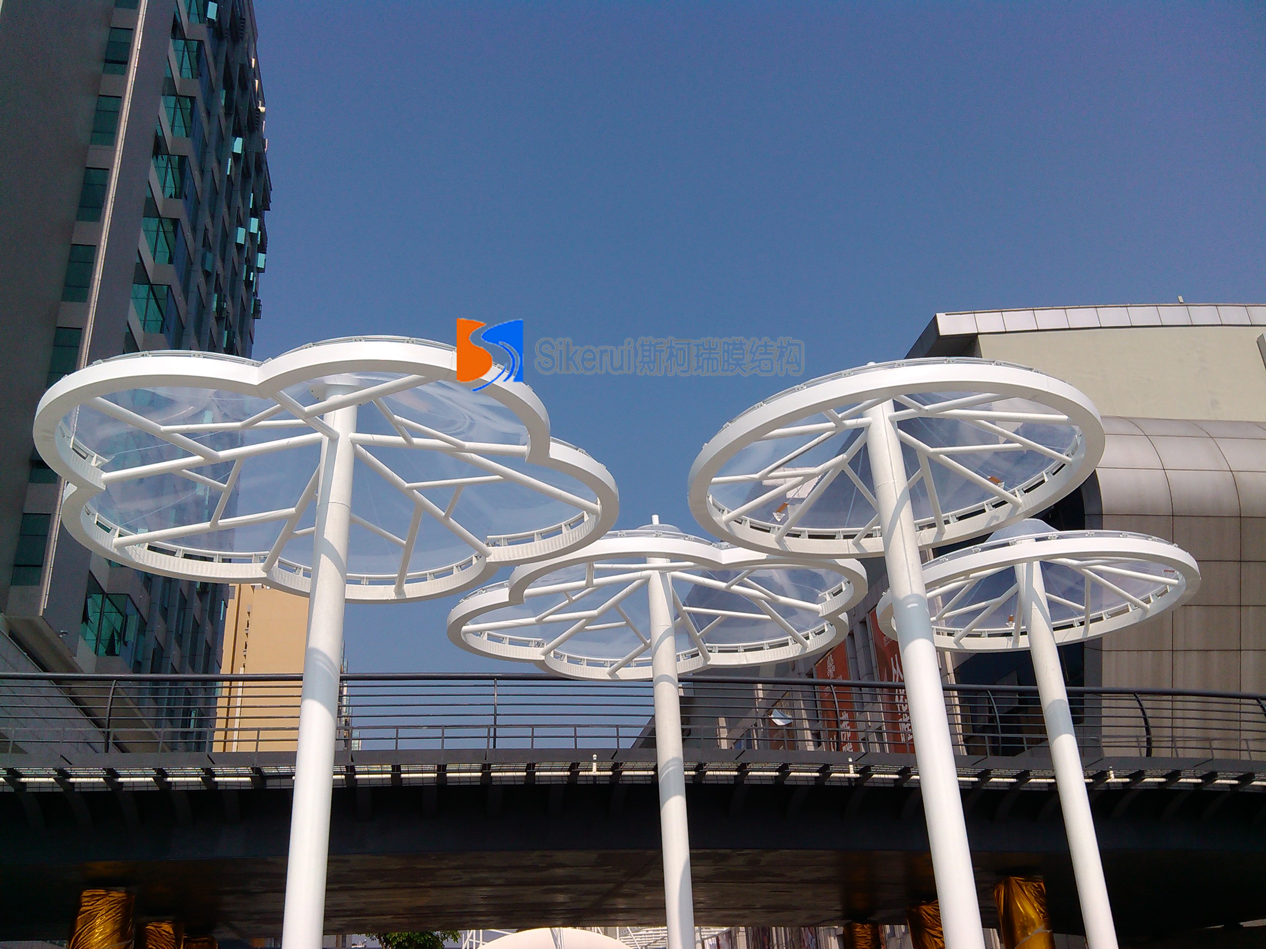 膜結(jié)構(gòu)，張拉膜，膜結(jié)構(gòu)工程